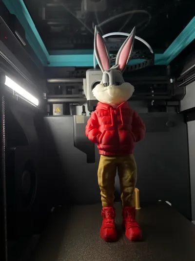 https://makerworld.bblmw.com/makerworld/comment/20260302/360245788/1396b91fa608690d.jpg