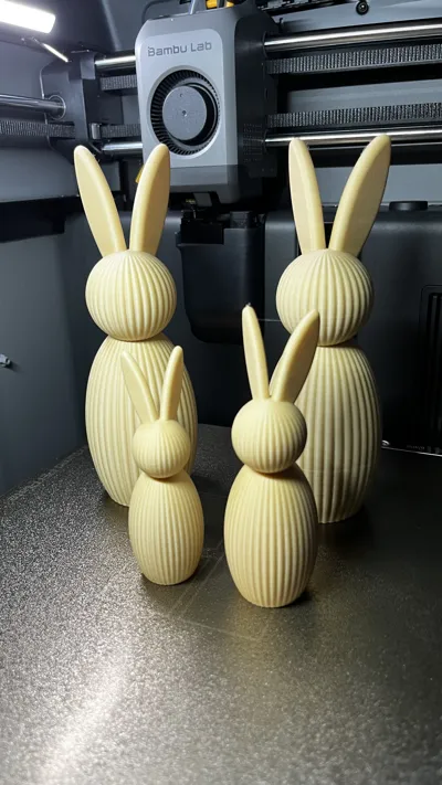 https://makerworld.bblmw.com/makerworld/comment/20260302/4089998574/b56f007ac2d4376d.jpeg