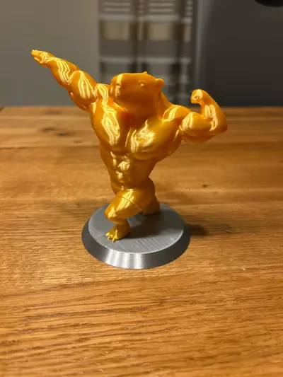 https://makerworld.bblmw.com/makerworld/comment/20260302/795349027/14d4234039aa0690.jpg