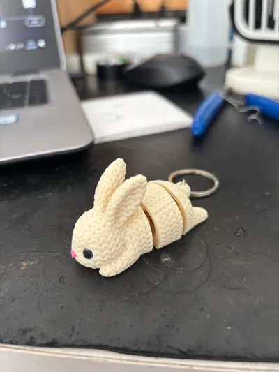 https://makerworld.bblmw.com/makerworld/comment/20260302/952738077/019c49e355352826.jpg
