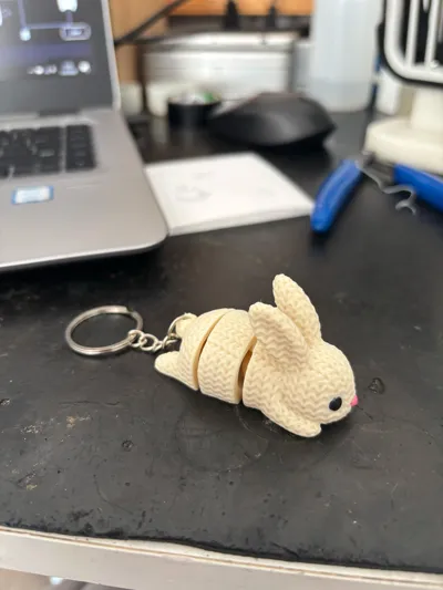 https://makerworld.bblmw.com/makerworld/comment/20260302/952738077/558c1c07b74d2606.jpg