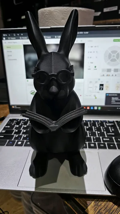 https://makerworld.bblmw.com/makerworld/comment/20260303/1120035149/fba2201d6a983eea.jpg