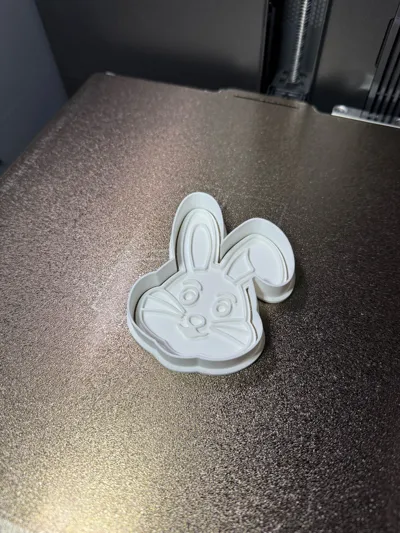 https://makerworld.bblmw.com/makerworld/comment/20260303/1146967647/5bdba2ea2c661a3e.jpg
