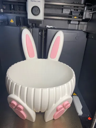 https://makerworld.bblmw.com/makerworld/comment/20260303/1343701480/a7994b5e9d8c5920.jpg