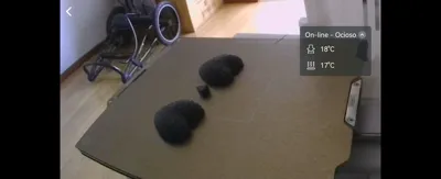 https://makerworld.bblmw.com/makerworld/comment/20260303/1382609266/dcaa7453da8aa45c.jpg