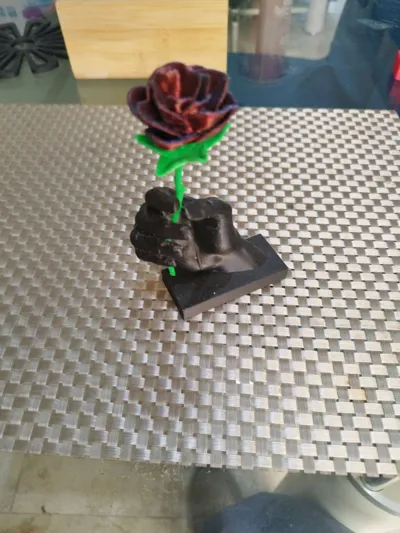 https://makerworld.bblmw.com/makerworld/comment/20260303/1473137488/0ed9a3b3f0813fd9.jpg