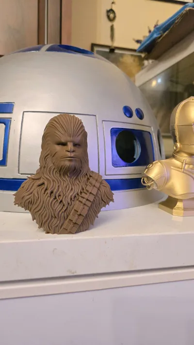 https://makerworld.bblmw.com/makerworld/comment/20260303/1645292360/f1b5238b317777a4.jpg