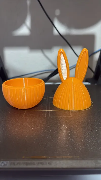 https://makerworld.bblmw.com/makerworld/comment/20260303/1947962267/c325d4b51c84b6e7.jpg