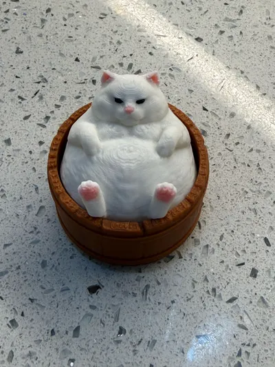 https://makerworld.bblmw.com/makerworld/comment/20260303/1949725235/be74bf3d148a1782.jpg