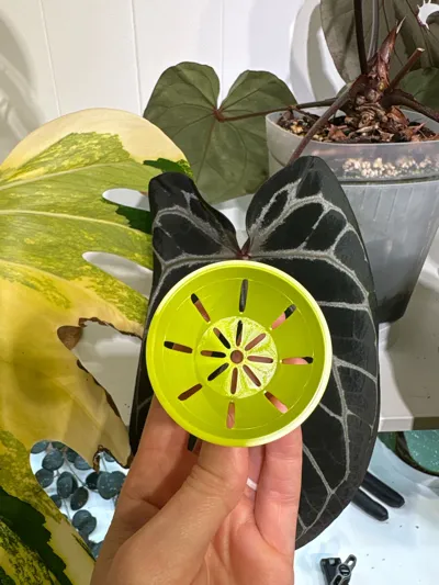 https://makerworld.bblmw.com/makerworld/comment/20260303/205156409/e2f057f2dbb1fea9.jpg