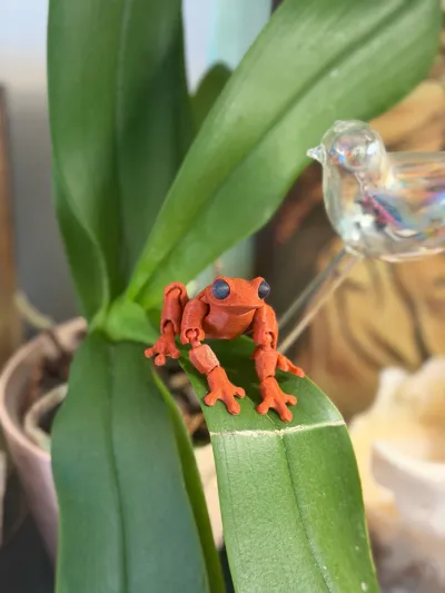 https://makerworld.bblmw.com/makerworld/comment/20260303/2819782851/fadb8830a724c1bf.jpg