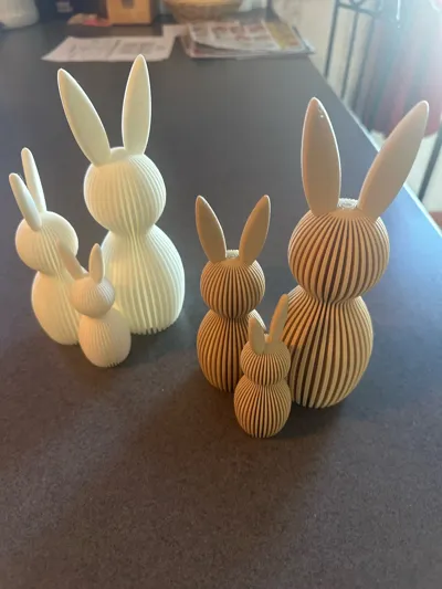 https://makerworld.bblmw.com/makerworld/comment/20260303/2944774313/3ee73238399e9049.jpg