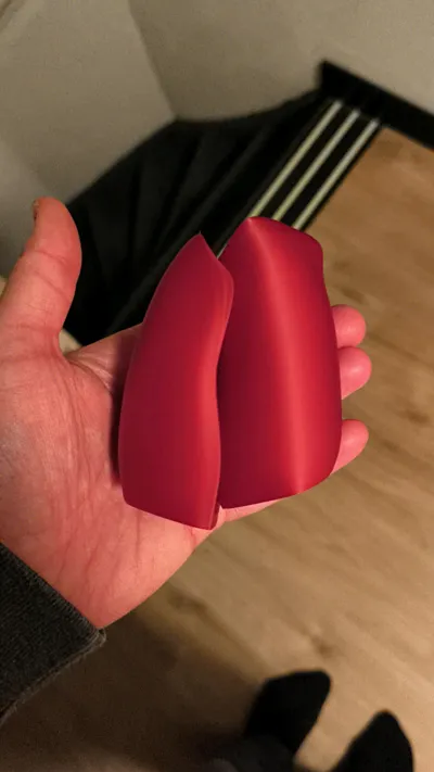 https://makerworld.bblmw.com/makerworld/comment/20260303/3578214252/82f29f52229db6b5.jpg