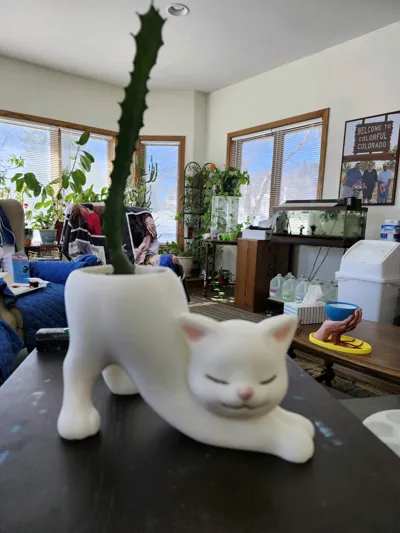 https://makerworld.bblmw.com/makerworld/comment/20260303/3862589806/6472fb936f184874.jpg