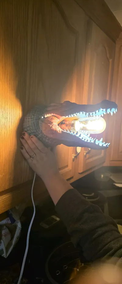 https://makerworld.bblmw.com/makerworld/comment/20260303/3863388810/732f4b131464c51d.jpg