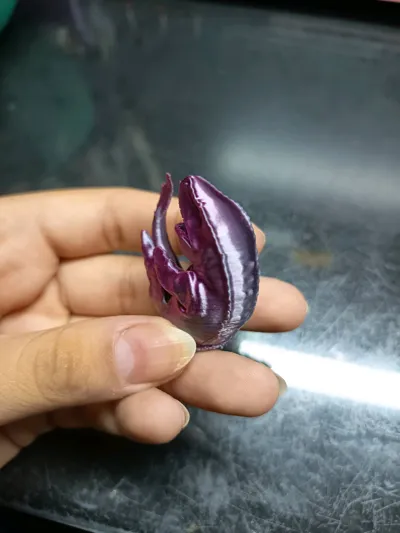 https://makerworld.bblmw.com/makerworld/comment/20260303/4038952728/f0cbd150df1df1f2.jpg