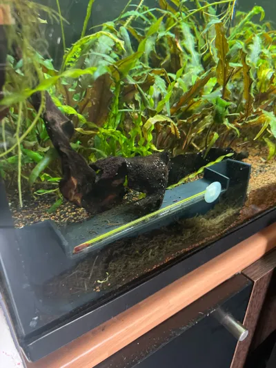 https://makerworld.bblmw.com/makerworld/comment/20260303/703037193/dbc05fa26a41f937.jpg