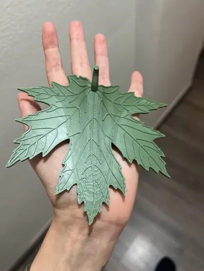 https://makerworld.bblmw.com/makerworld/comment/20260303/703037193/f545eb9227d2ae03.jpg