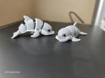 https://makerworld.bblmw.com/makerworld/comment/20260303/937451143/2bcfe762bc81f31d.jpg