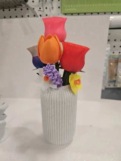 https://makerworld.bblmw.com/makerworld/comment/20260304/1623423958/20d0ce1fab239030.jpg