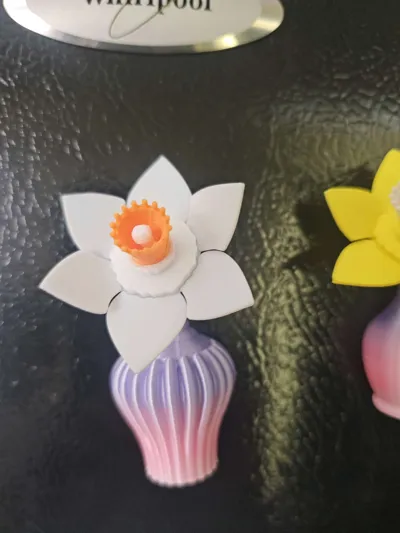 https://makerworld.bblmw.com/makerworld/comment/20260304/1623423958/a2f3661cf5224183.jpg