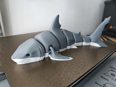 https://makerworld.bblmw.com/makerworld/comment/20260304/1751372538/380a16d152bad2fb.jpg