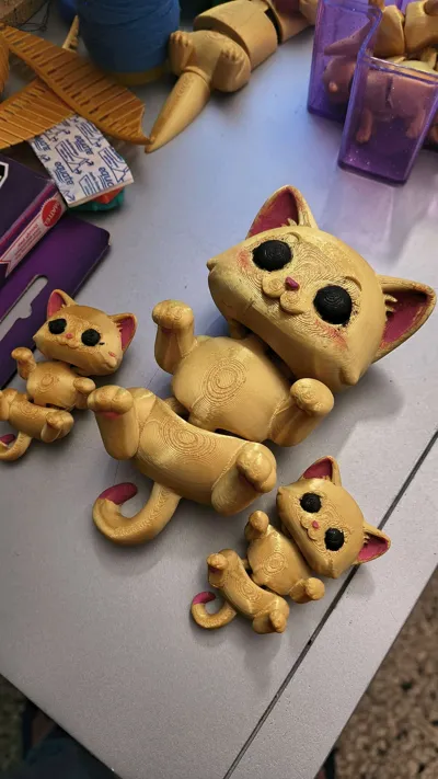 https://makerworld.bblmw.com/makerworld/comment/20260304/1940911575/d6afcffc941e4fc2.jpg