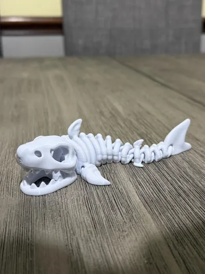 https://makerworld.bblmw.com/makerworld/comment/20260304/2028886401/5970ba107e001a2f.jpg