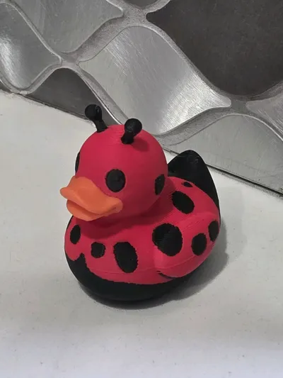 https://makerworld.bblmw.com/makerworld/comment/20260304/2204829492/b4a5d5bcd8625f35.jpg