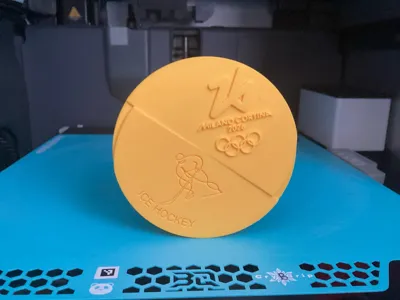 https://makerworld.bblmw.com/makerworld/comment/20260304/2940954288/158534bf641c3a81.jpg
