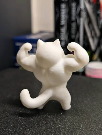 https://makerworld.bblmw.com/makerworld/comment/20260304/3055207445/73e729f885aa7eb4.jpg