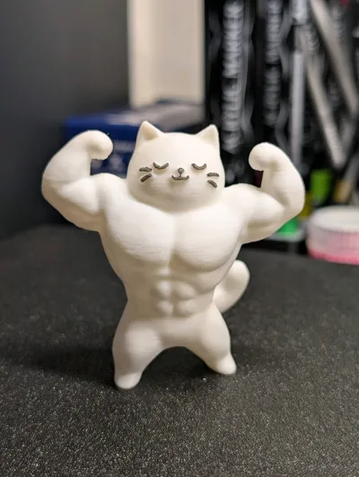https://makerworld.bblmw.com/makerworld/comment/20260304/3055207445/a5b464bda1d76042.jpg