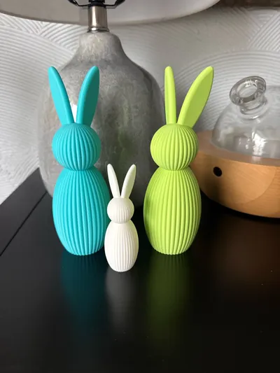 https://makerworld.bblmw.com/makerworld/comment/20260304/3088412495/6ad61d506815e8cd.jpg