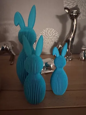 https://makerworld.bblmw.com/makerworld/comment/20260304/3252377939/b2a795d15ff9ee9c.jpg