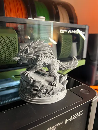 https://makerworld.bblmw.com/makerworld/comment/20260304/3436410807/ac5913ea3dbc4460.jpg