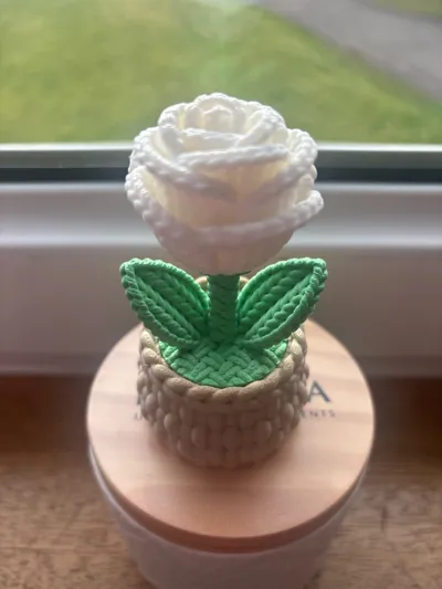 https://makerworld.bblmw.com/makerworld/comment/20260304/3920524349/371c73876372b455.jpg
