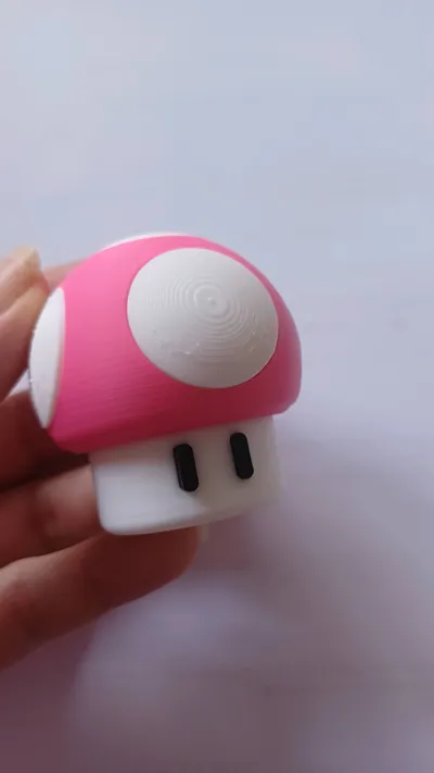 https://makerworld.bblmw.com/makerworld/comment/20260305/1467609108/aef74d70fc6747a0.jpg