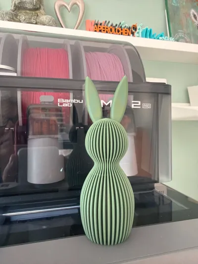 https://makerworld.bblmw.com/makerworld/comment/20260305/1587314475/27bccb7845fb6559.jpg