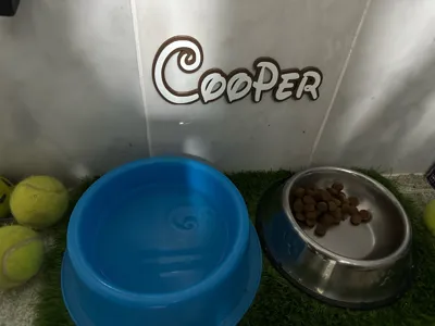 https://makerworld.bblmw.com/makerworld/comment/20260305/1660953457/36115e797fdded59.jpg