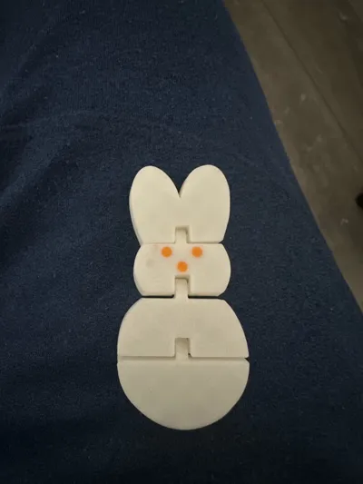 https://makerworld.bblmw.com/makerworld/comment/20260305/1765139761/81b77ddf1d41c3c3.jpg