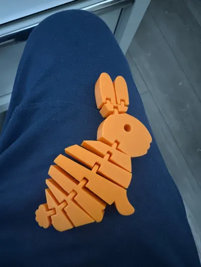 https://makerworld.bblmw.com/makerworld/comment/20260305/1765139761/c72fdb1f8098215e.jpg