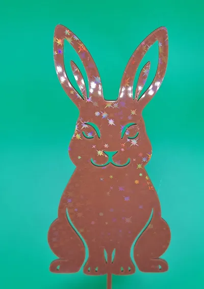https://makerworld.bblmw.com/makerworld/comment/20260305/1934829270/f69f2464bb6c6dc2.png
