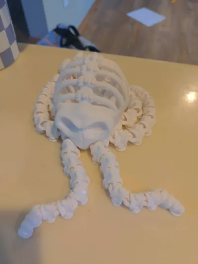 https://makerworld.bblmw.com/makerworld/comment/20260305/2229696149/98a423d0c5610e76.jpg