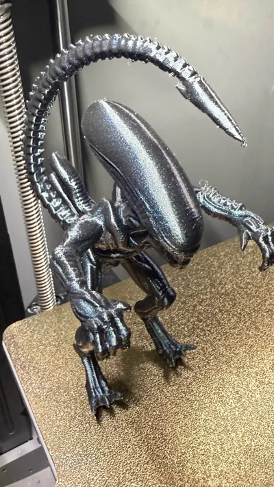 https://makerworld.bblmw.com/makerworld/comment/20260305/2301623197/ee0debf03788feb7.jpg