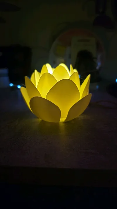 https://makerworld.bblmw.com/makerworld/comment/20260305/2550493238/2ce242b03eb33e9f.jpg