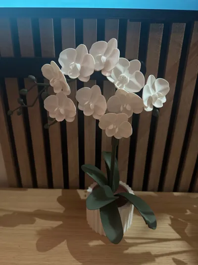 https://makerworld.bblmw.com/makerworld/comment/20260305/3298140104/35063a92bc8dc775.jpg