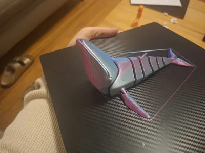 https://makerworld.bblmw.com/makerworld/comment/20260305/3314980930/7bf96df25bed9d65.jpg