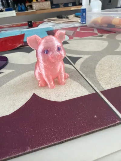 https://makerworld.bblmw.com/makerworld/comment/20260305/337658262/4f8ea7d0c64d2feb.jpg