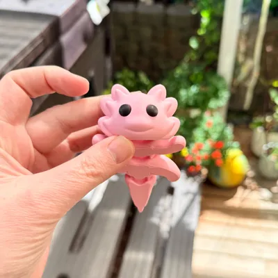 https://makerworld.bblmw.com/makerworld/comment/20260305/391089255/6ed8e7e73b2001dd.jpg