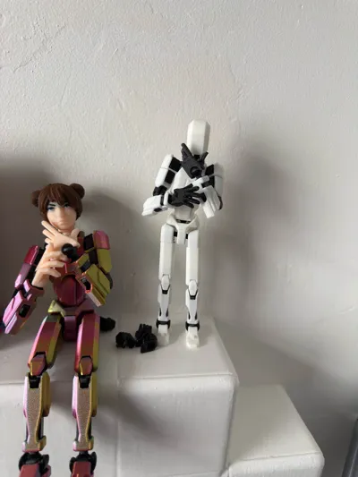 https://makerworld.bblmw.com/makerworld/comment/20260305/4159176625/e27d4598634e0737.jpg